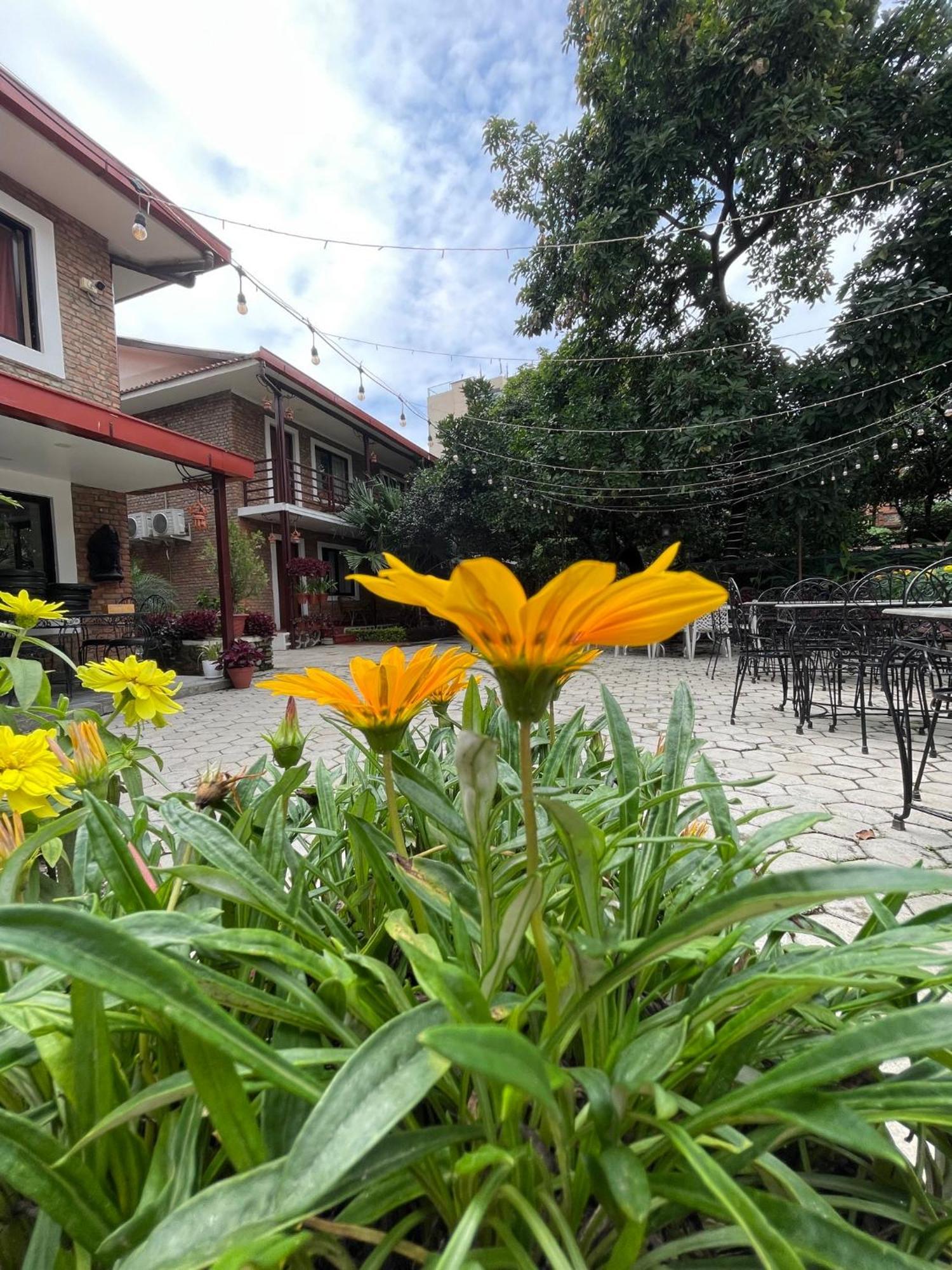 קטמנדו Nepal Cottage Resort מראה חיצוני תמונה